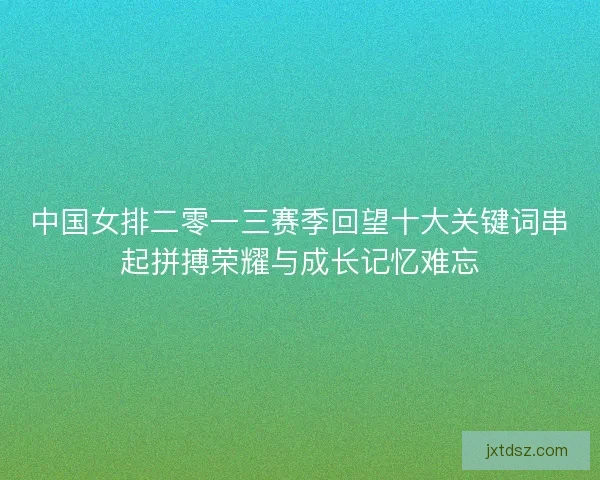 中国女排二零一三赛季回望十大关键词串起拼搏荣耀与成长记忆难忘
